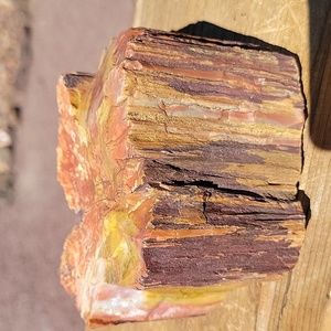 2lbs 8.8oz Az rainbow chunk petrified wood mineral Agatized